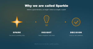Van spark naar inzicht naar beslissing · het framework achter de naam Sparkle